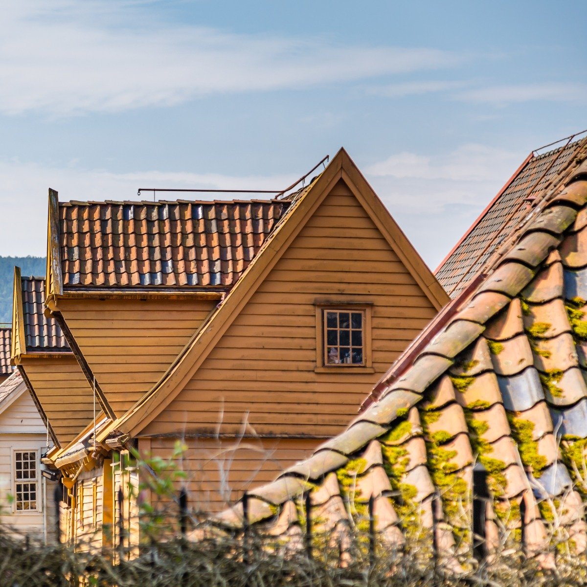 Roof Inspections