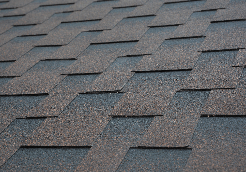 asphalt shingle roof